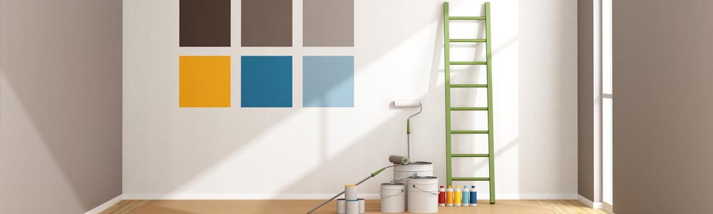 Renovation peinture murs et plafonds