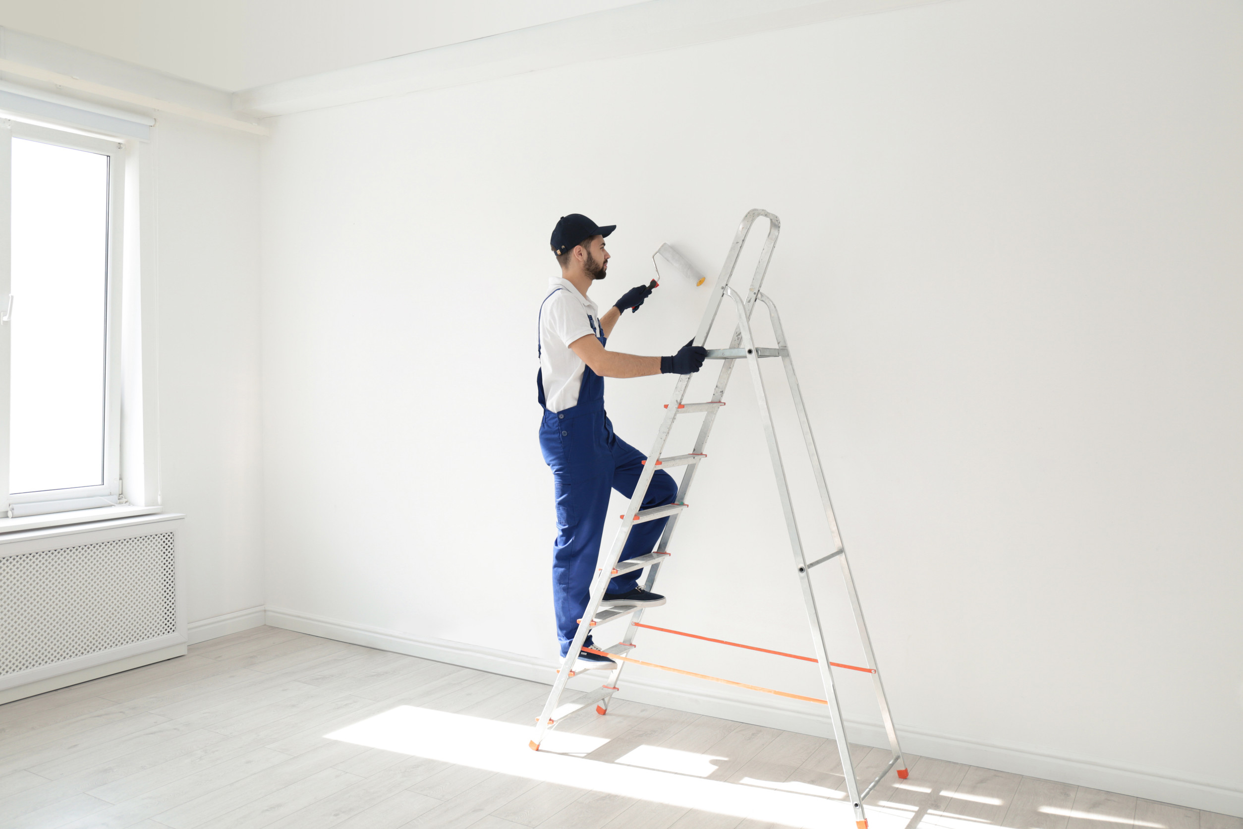 rénovation peinture murale