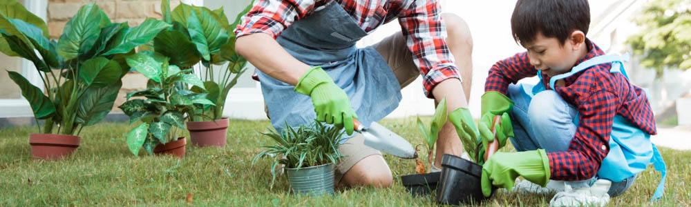 Travaux à réaliser en été